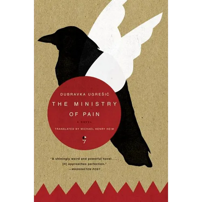 The Ministry of Pain - Paperback