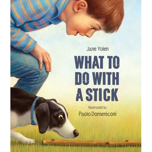 What to Do with a Stick - Hardcover