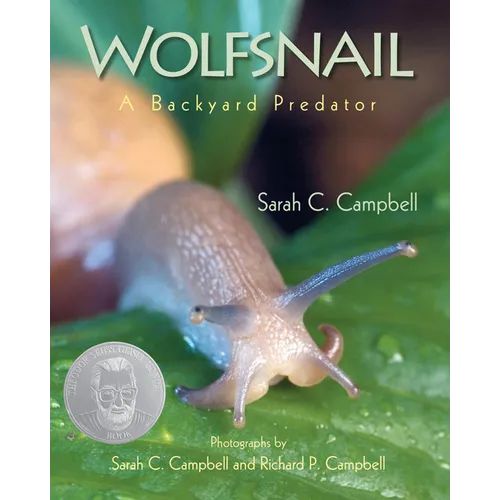 Wolfsnail: A Backyard Predator - Paperback