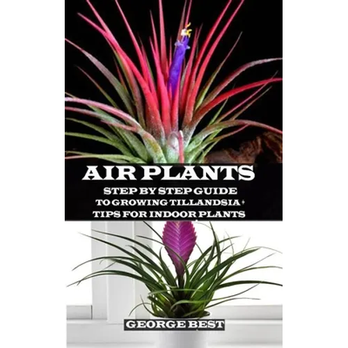 Air Plant: Step by Step Guide to Growing Tillandsia + Tips for Indoor Plants - Paperback