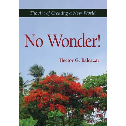 No Wonder!: The Art of Creating a New World - Hardcover