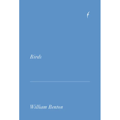 Birds - Paperback