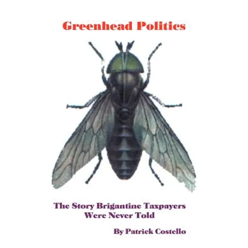 Greenhead Politics: The Story Brigantine Taxpayers Were Never Told - Paperback
