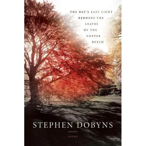 The Day's Last Light Reddens the Leaves of the Copper Beech - Paperback