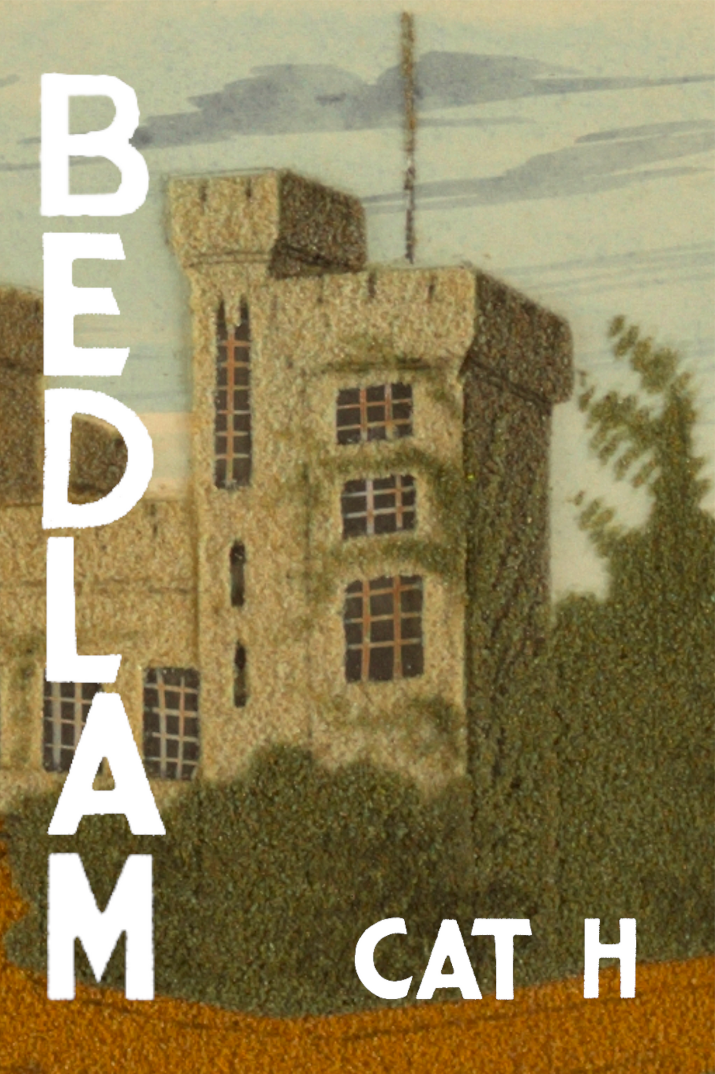 Bedlam, by Cat H