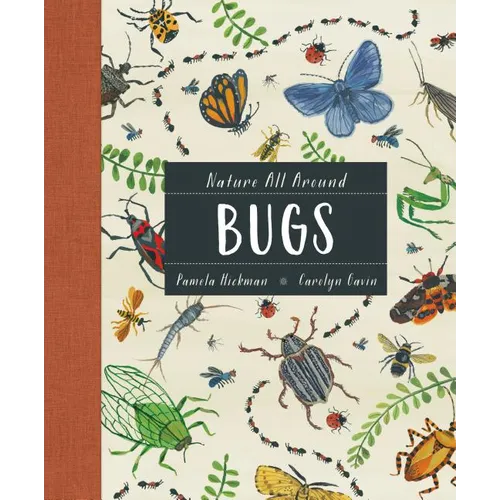 Nature All Around: Bugs - Hardcover