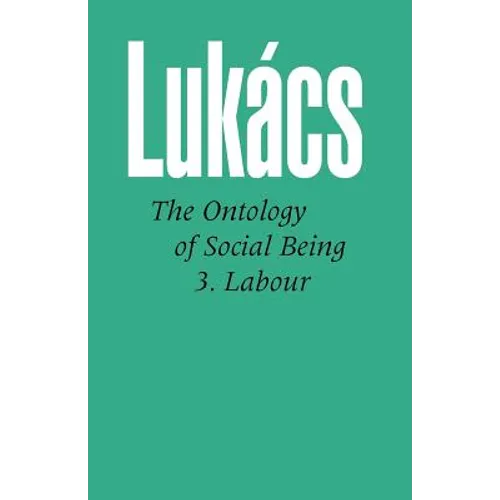 Ontology of Social Being Vol. 3: Labour - Paperback
