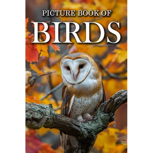 Birds: Picture Books For Adults With Dementia And Alzheimers Patients - Colourful Photos Of Birds With Their Names - Paperback