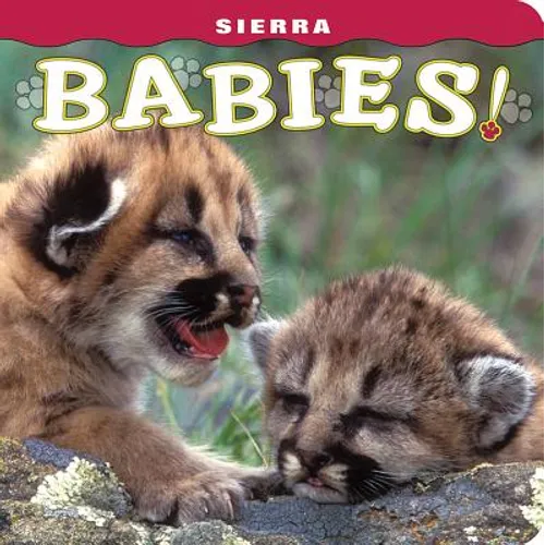 Sierra Babies! - Board Book