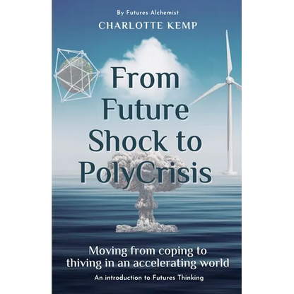 From Future Shock to PolyCrisis - Paperback