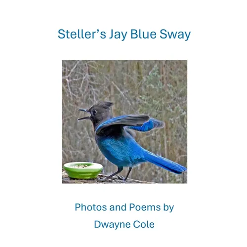 Steller's Jay Blue Sway: Photos and Poems - Paperback