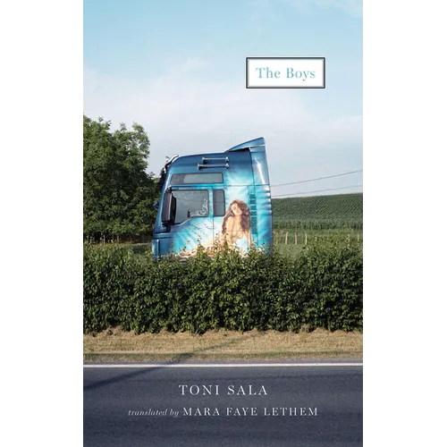 The Boys - Paperback