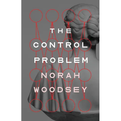 The Control Problem - Paperback