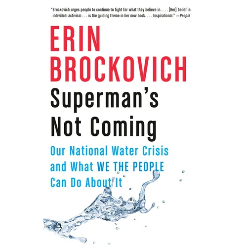 Superman's Not Coming: Our National Water Crisis and What We the People Can Do About It - Paperback