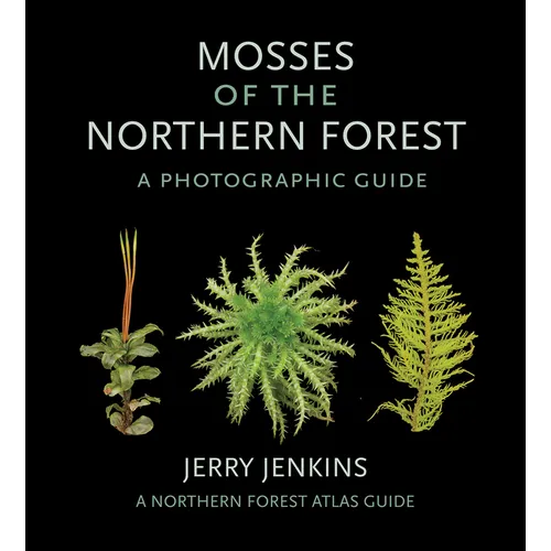 Mosses of the Northern Forest: A Photographic Guide - Paperback