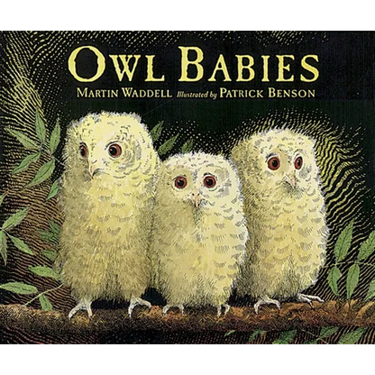 Owl Babies - Paperback