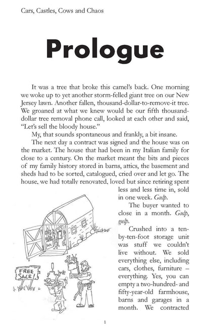 Cars, Castles, Cows, and Chaos