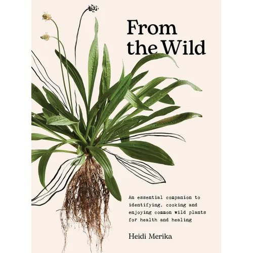 From the Wild: The Essential Companion to Identifying, Using and Enjoying Common Wild Plants for Health and Healing - Hardcover