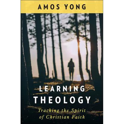 Learning Theology: Tracking the Spirit of Christian Faith - Paperback