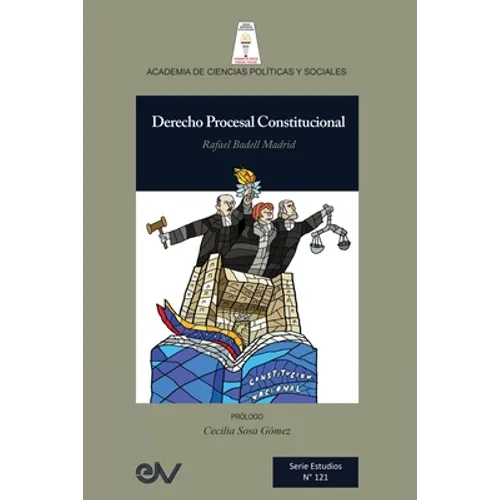 Derecho Procesal Constitucional - Paperback