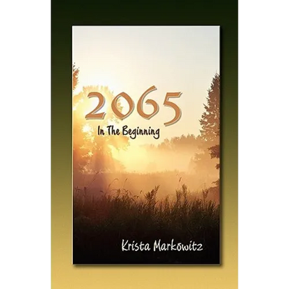 2065 in the Beginning - Paperback