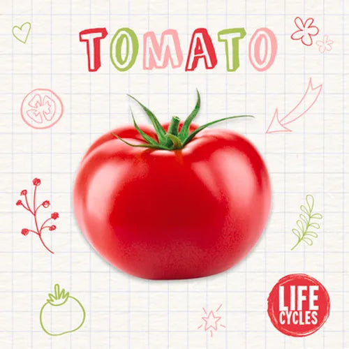 Tomato - Paperback