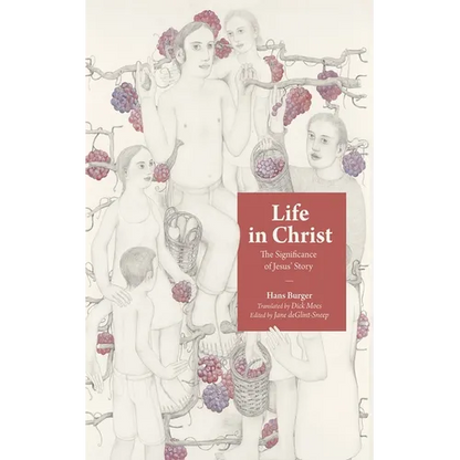 Life in Christ: The Significance of Jesus' Story - Hardcover