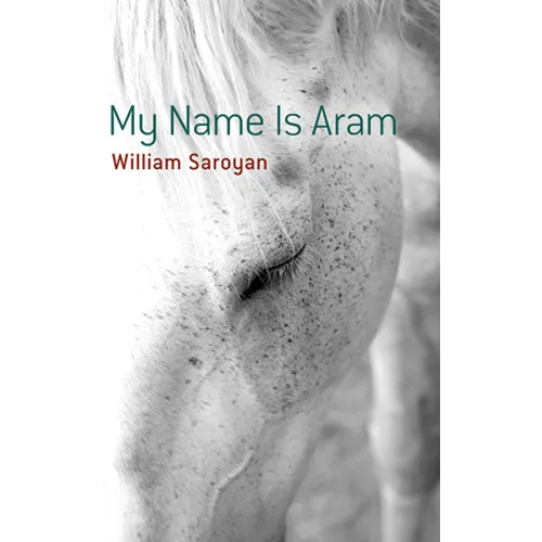 My Name Is Aram - Paperback