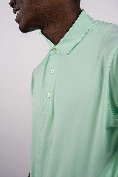 Solid Polo