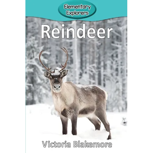 Reindeer - Paperback