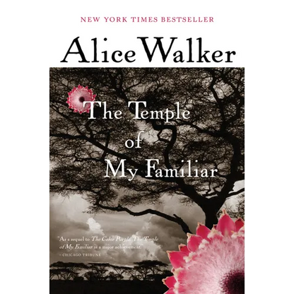 The Temple of My Familiar - Paperback