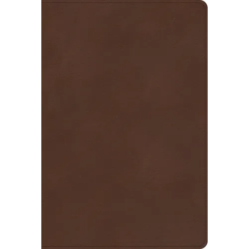 CSB Rainbow Study Bible, Brown Leathertouch - Imitation Leather