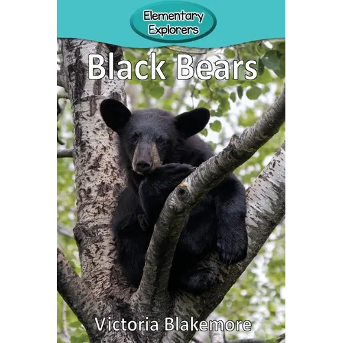 Black Bears - Paperback