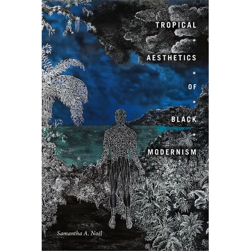 Tropical Aesthetics of Black Modernism - Hardcover