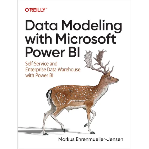 Data Modeling with Microsoft Power BI: Self-Service and Enterprise Data Warehouse with Power BI - Paperback