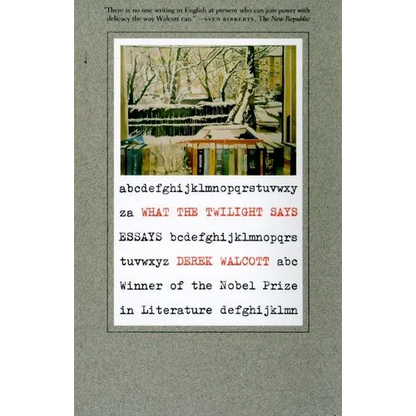What the Twilight Says: Essays - Paperback