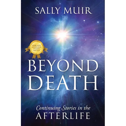 Beyond Death: Continuing Stories in the Afterlife - Paperback