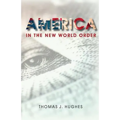 America In the New World Order - Paperback