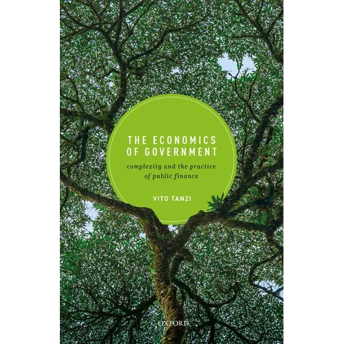 The Economics of Government: Complexity and the Practice of Public Finance - Hardcover