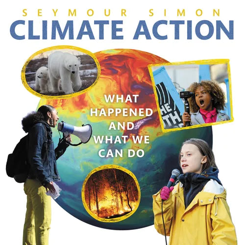 Climate Action: What Happened and What We Can Do - Paperback