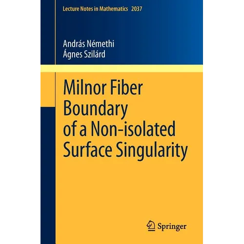 Milnor Fiber Boundary of a Non-Isolated Surface Singularity - Paperback