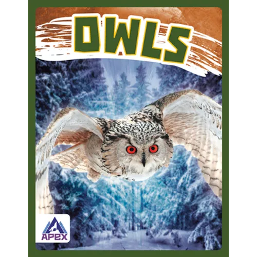 Owls - Library Binding