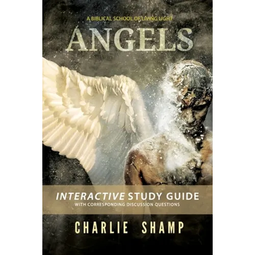 Angels Workbook: A Biblical School of Living Light - Paperback