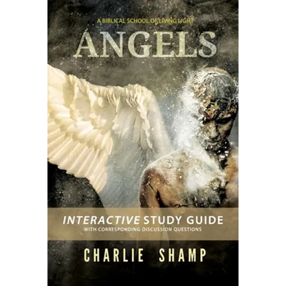 Angels Workbook: A Biblical School of Living Light - Paperback