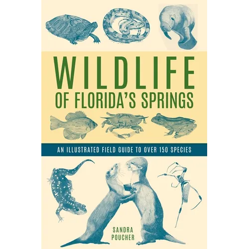 Wildlife of Florida's Springs: An Illustrated Field Guide to Over 150 Species - Paperback