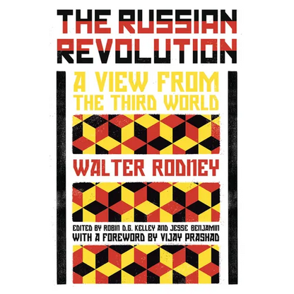 The Russian Revolution: A View from the Third World - Paperback