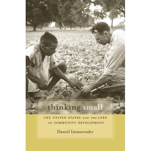 Thinking Small: The United States and the Lure of Community Development - Paperback