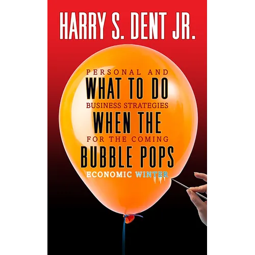 What to Do When the Bubble Pops: Personal and Business Strategies for the Coming Economic Winter - Paperback