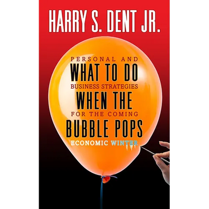 What to Do When the Bubble Pops: Personal and Business Strategies for the Coming Economic Winter - Paperback