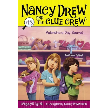Valentine's Day Secret - Paperback